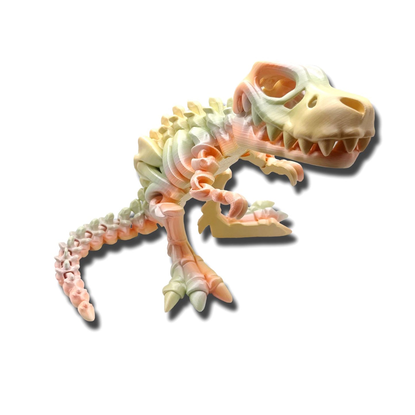 3D Printed T-Rex 10"