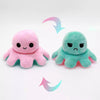Octopus Asst (Small) ($4.5/EA DELIVERED)
